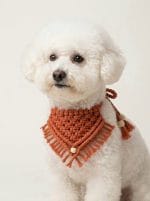 Macrame Pet Bandana – Handmade Cotton Scarf for Stylish Pets