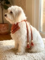 Macrame Pet Bandana – Handmade Cotton Scarf for Stylish Pets - Image 5