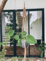 Macrame Plant Hanger – Handmade Cotton Pot Holder - Image 2