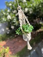 Mini Macrame Plant Hanger – Boho Décor for Small Pots - Image 3