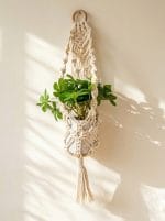 Mini Macrame Plant Hanger – Boho Décor for Small Pots