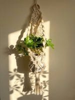 Mini Macrame Plant Hanger – Boho Décor for Small Pots - Image 6