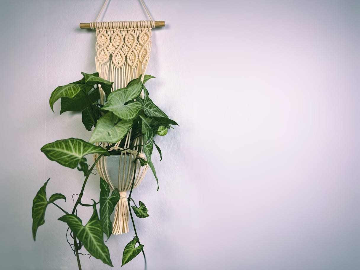 Macrame plant hanger with boho wall hanging design, handmade using cotton cords and wooden dowel, decorated with lush green leaves – DIY Macrame Plant Hanger Video Tutorial
