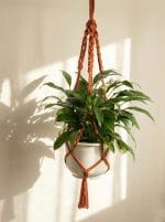 Macrame Plant Hanger – Terracotta Style